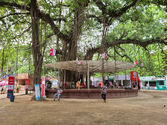 A peaceful community garden space with a large banyan tree, where people gather for healing circles.