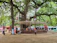 A smiling local guide sharing stories with travelers under a banyan tree.