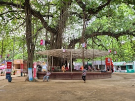 A large banyan tree with extensive branches and aerial roots dominates the scene. Surrounding the tree is a circular platform with a canopy overhead. Various people are resting or walking around the area. Multiple signs and banners are attached to the tree and around the platform. The environment is calm and has a relaxed, natural atmosphere.