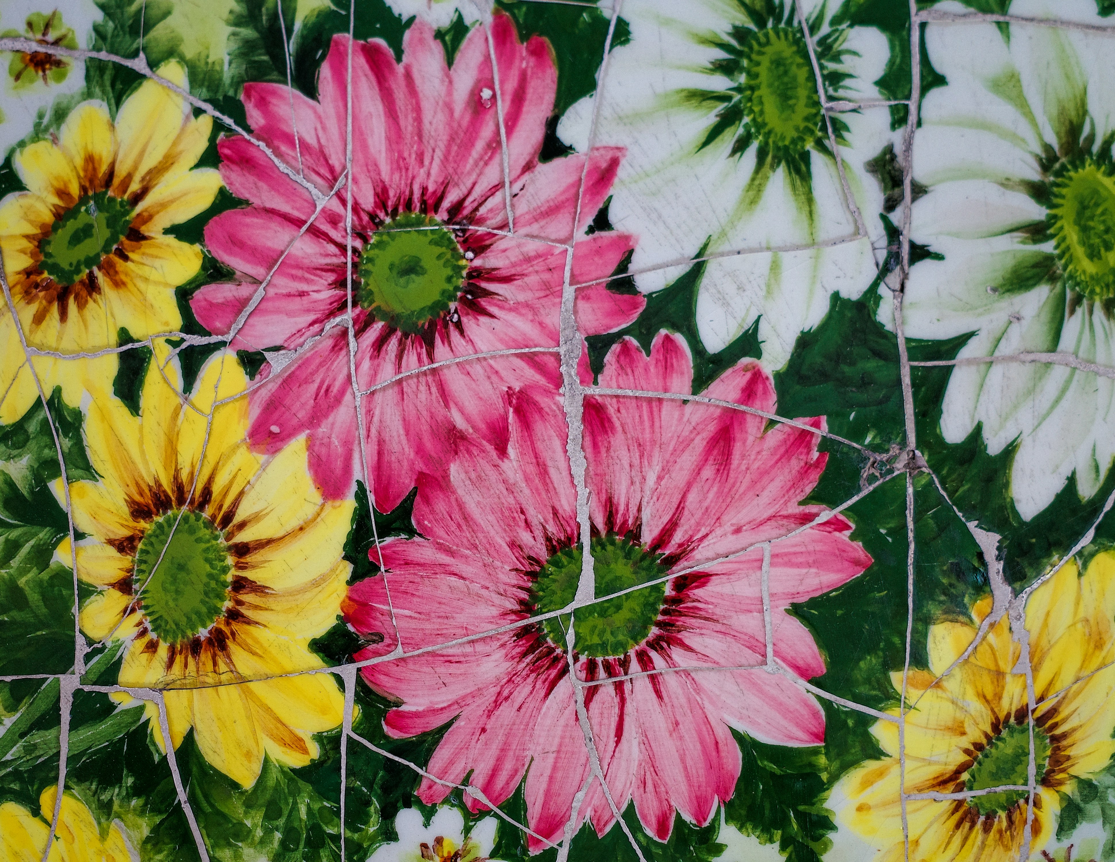 a group of colorful flowers