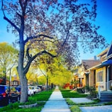 Tree-lined streets and open plots showcasing vibrant community growth.