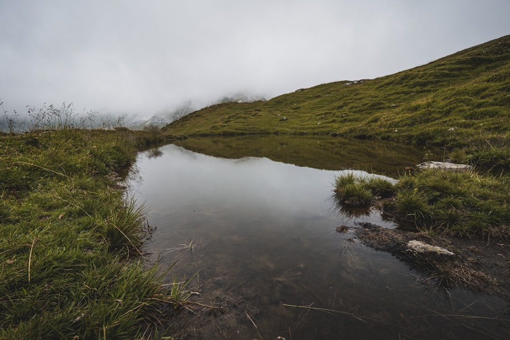 une rivière qui traverse une zone herbeuse