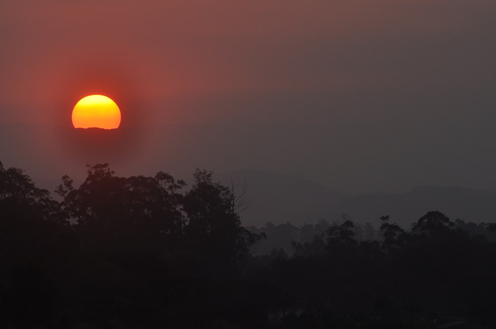 a sunset over trees