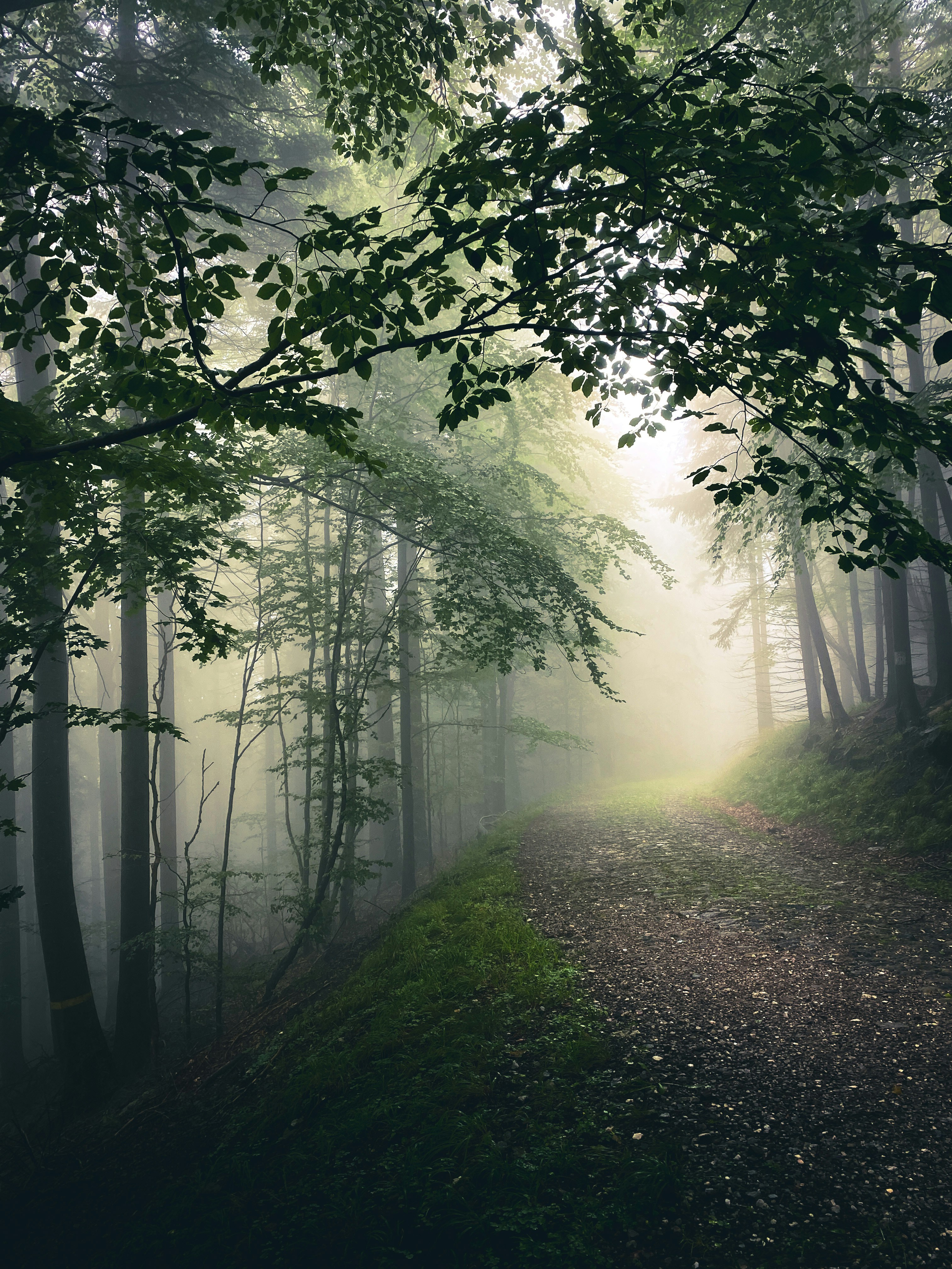 Photo by mr_saturday6