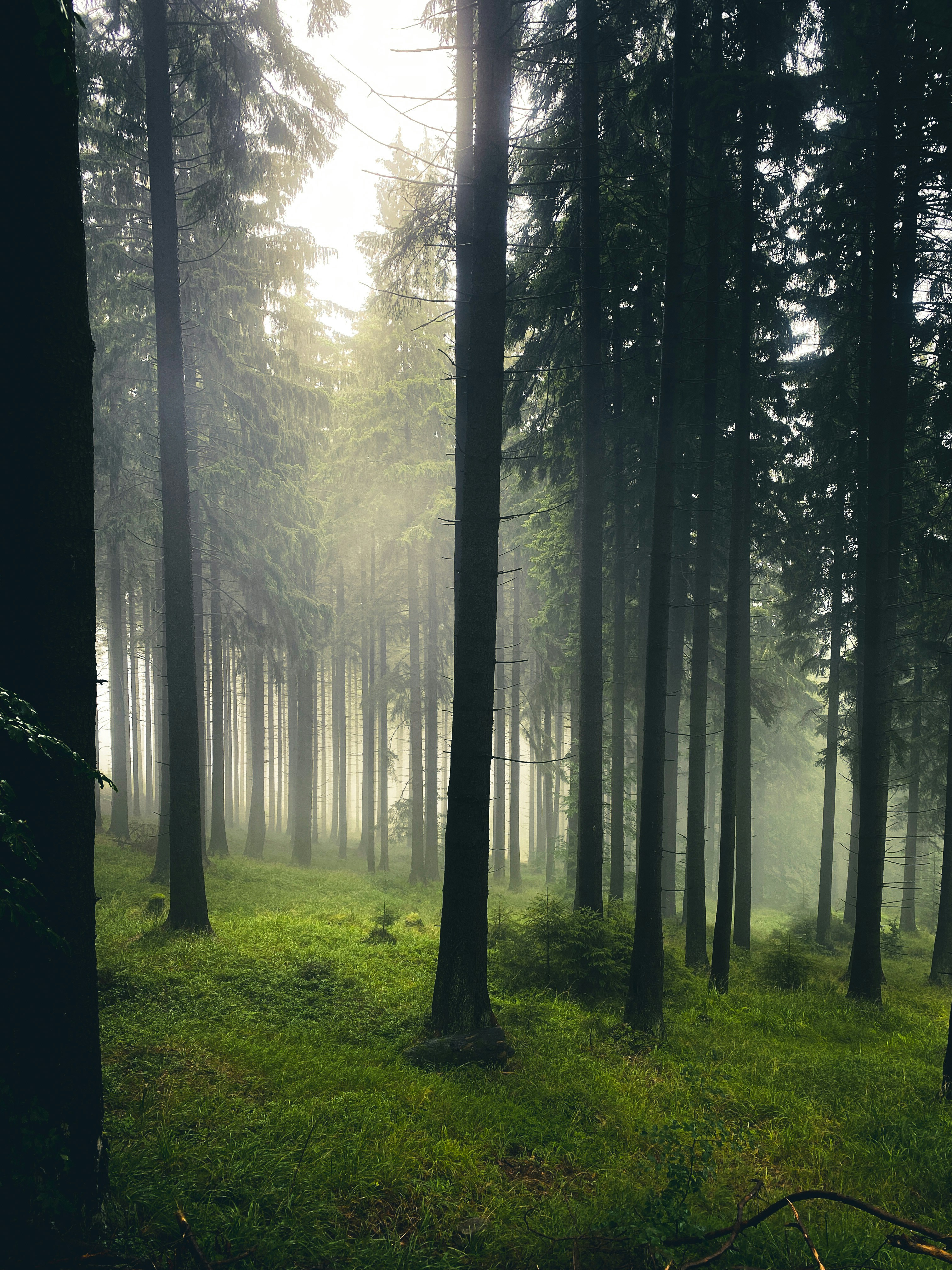 Photo by mr_saturday6