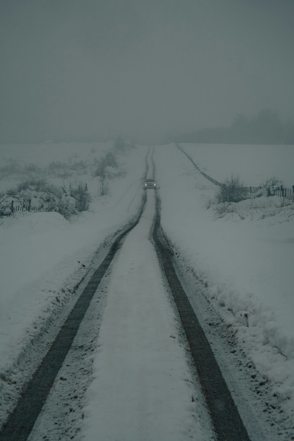 a snowy road with trees on either side of it