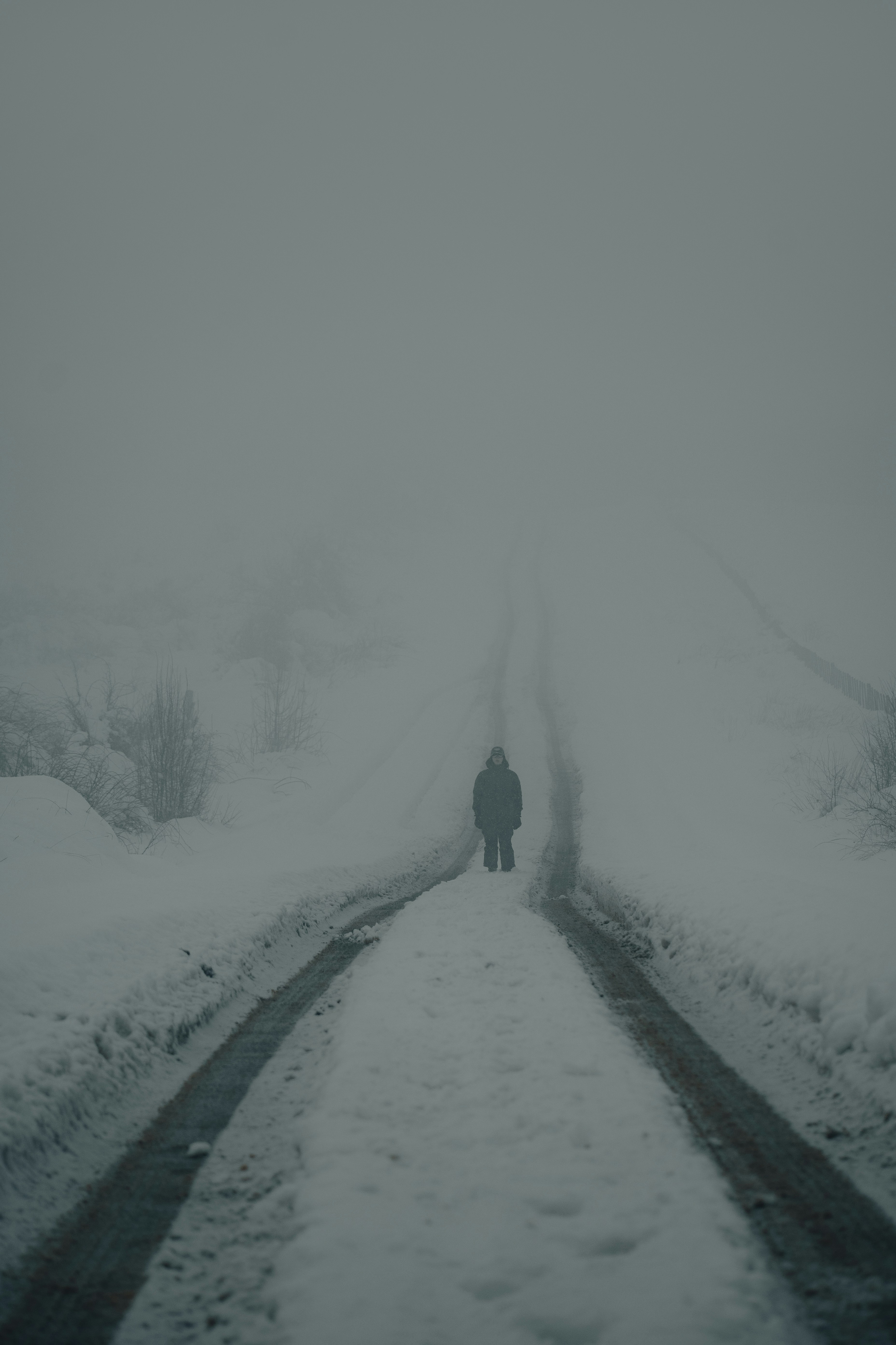 Photo by gasparzaldo