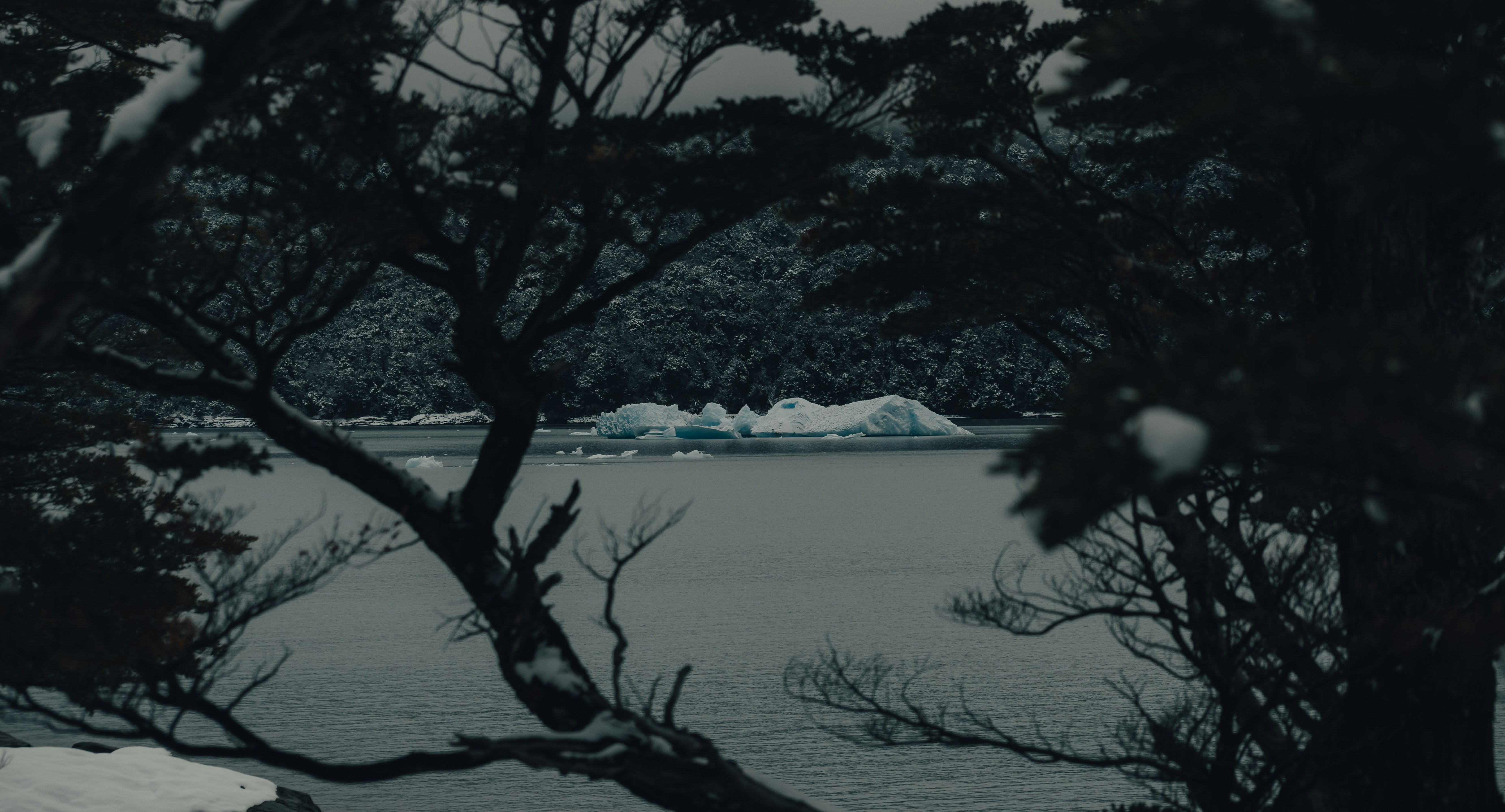 Photo by gasparzaldo