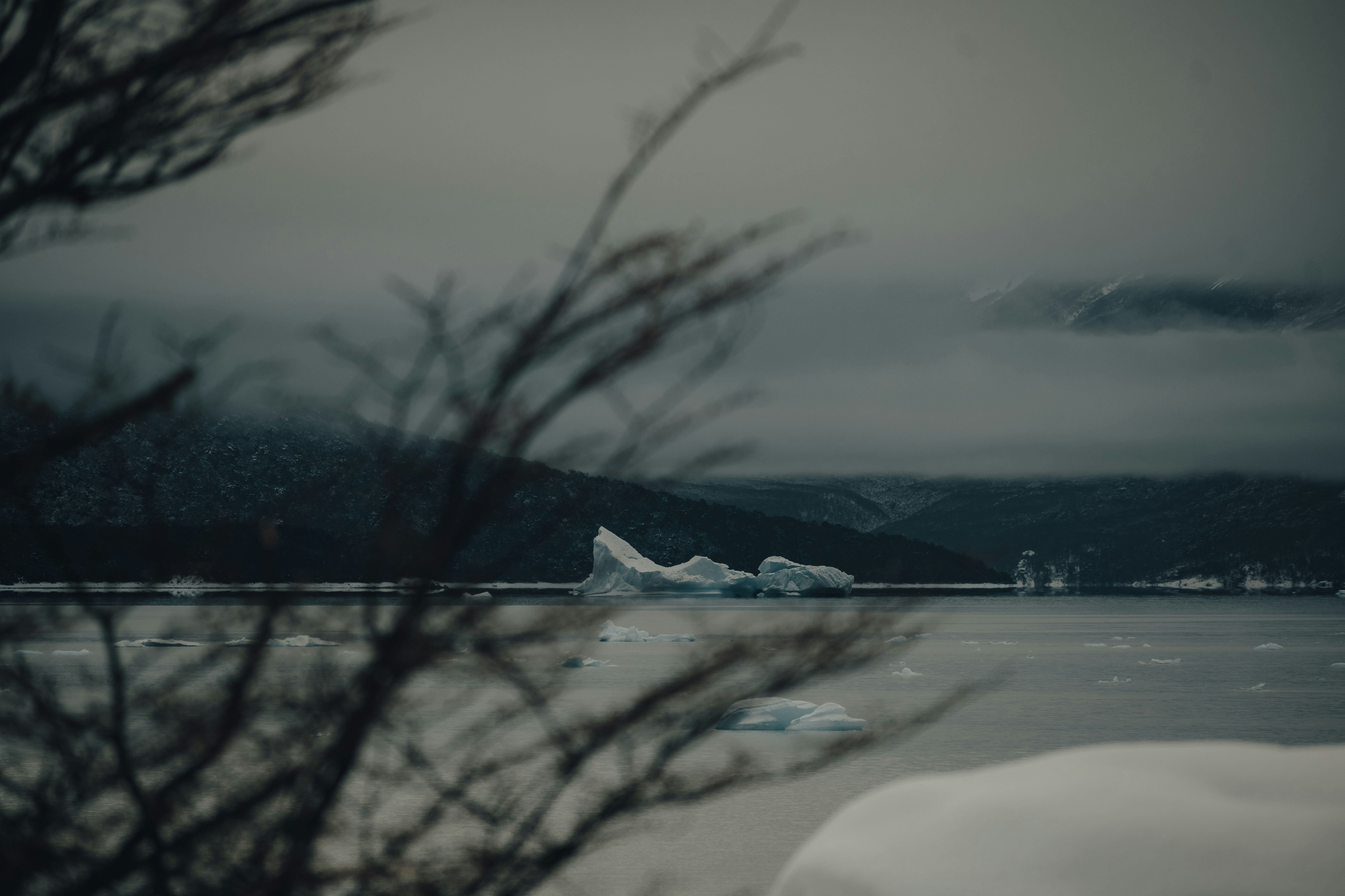 Photo by gasparzaldo