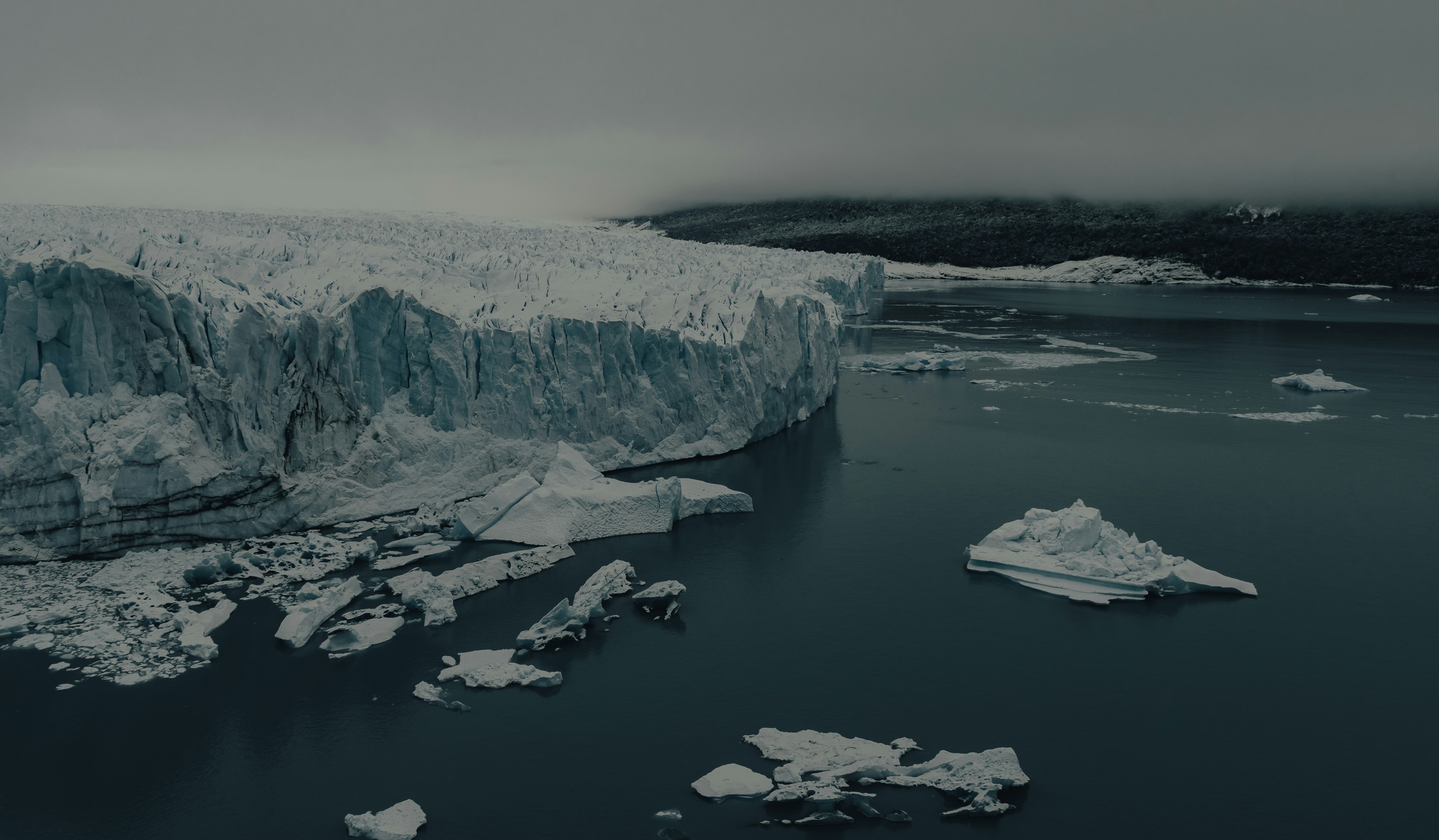 Photo by gasparzaldo