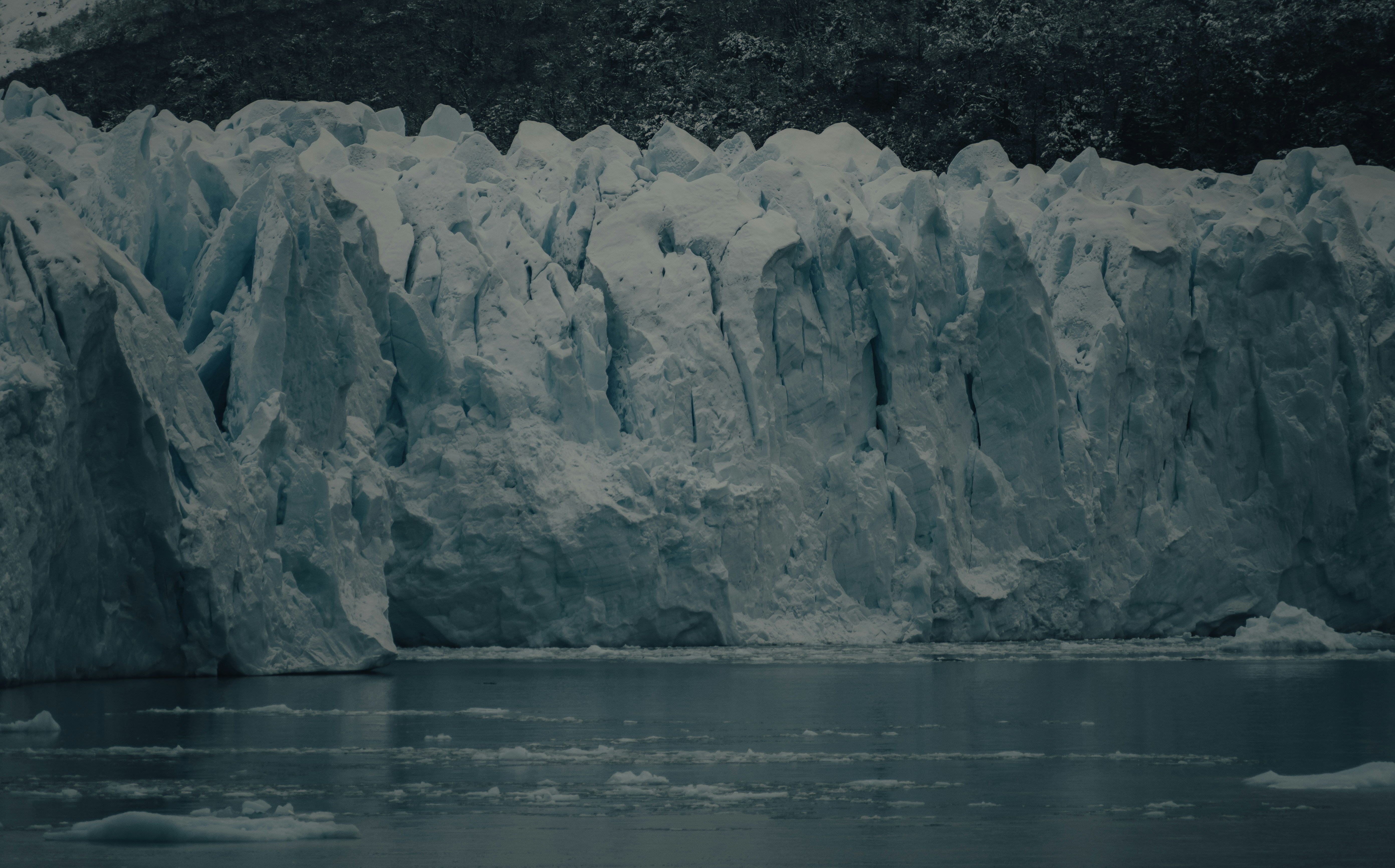 Photo by gasparzaldo