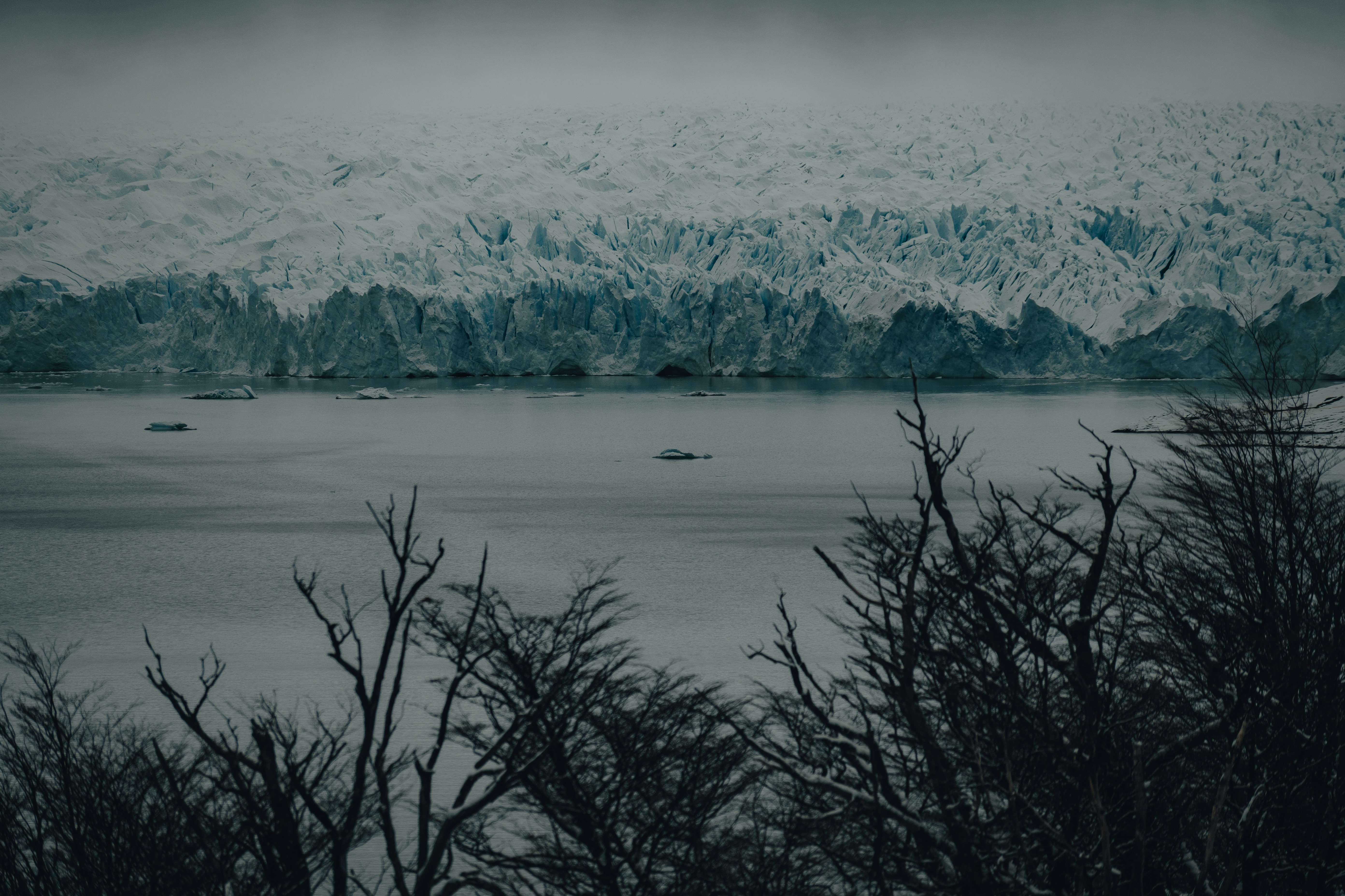 Photo by gasparzaldo