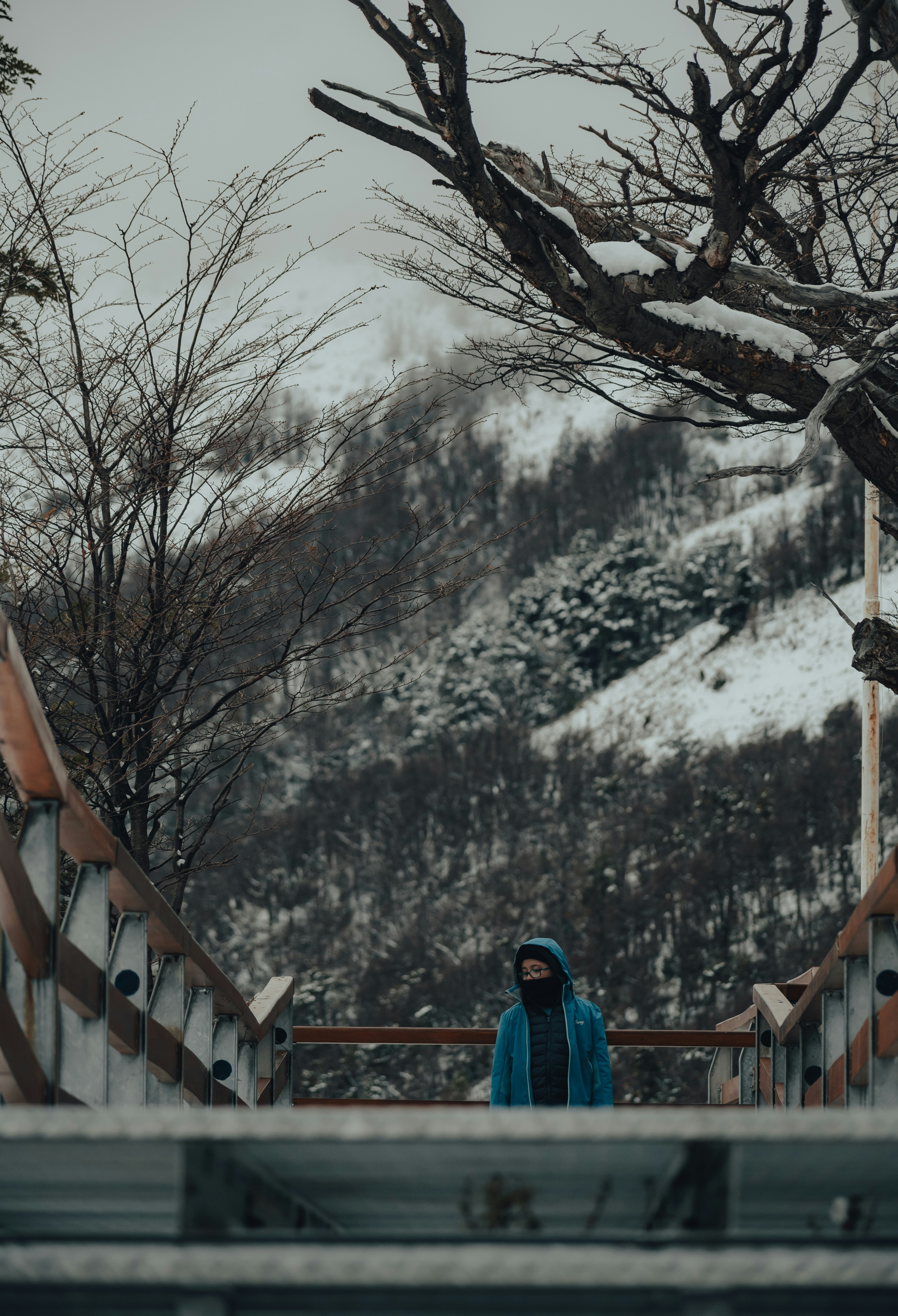 Photo by gasparzaldo