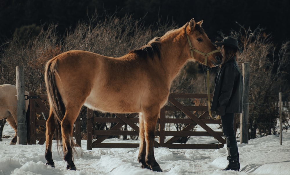 a person standing next to a horse