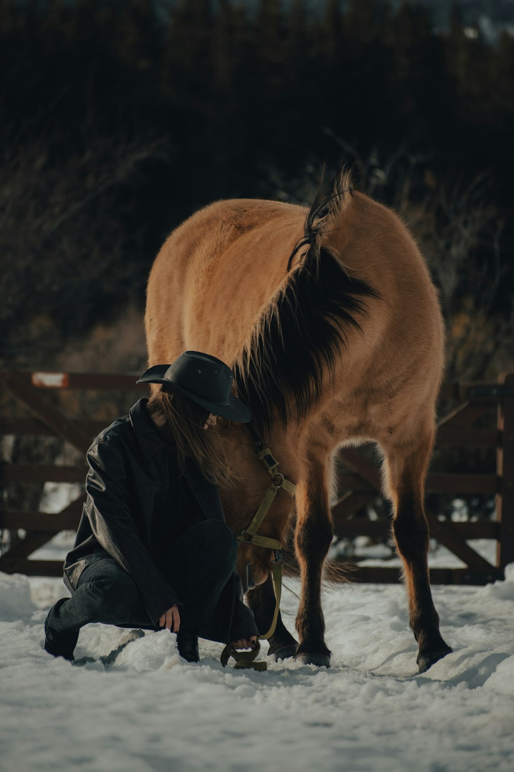 a person kneeling down next to a horse in the snow
