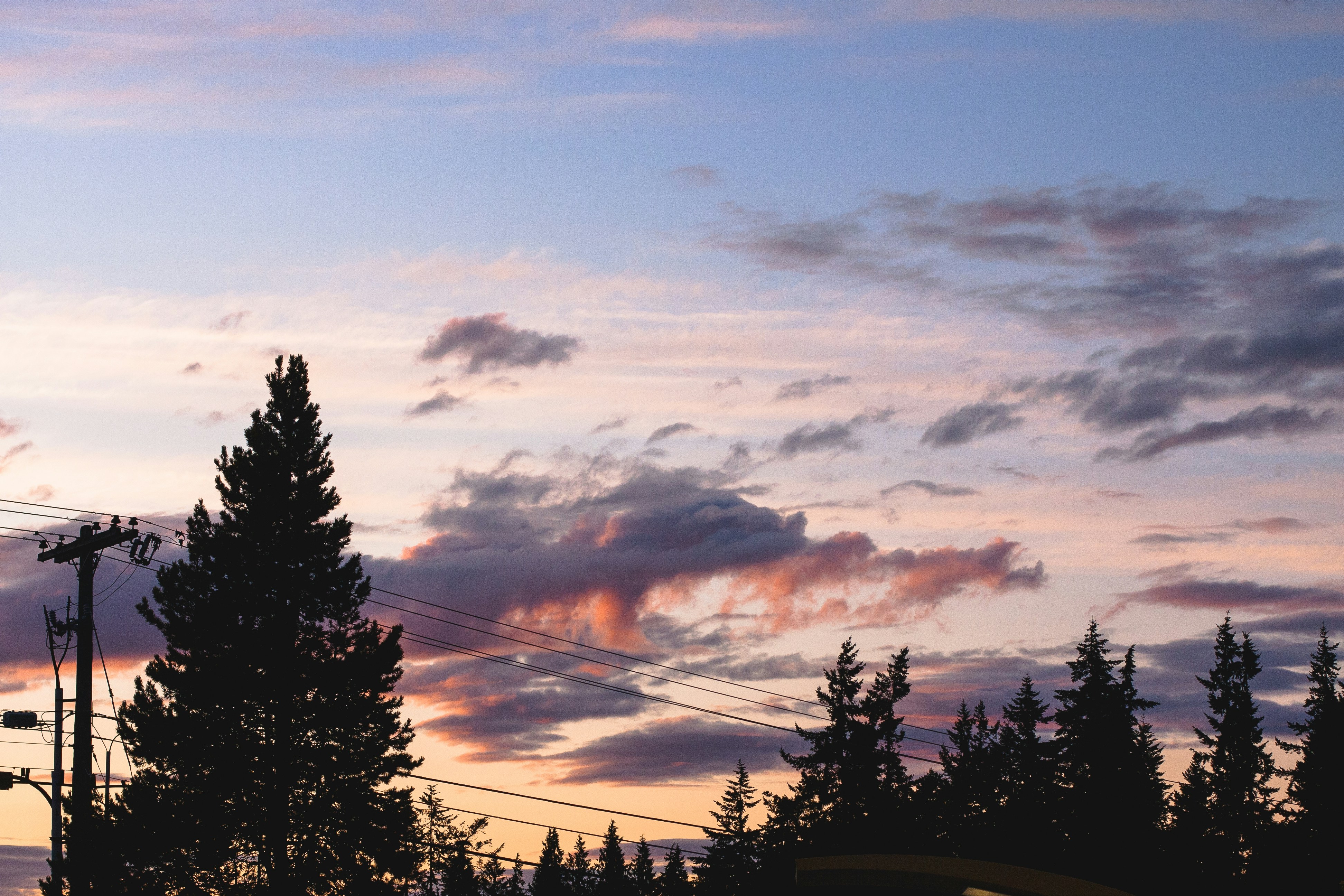 Photo by davidschultz