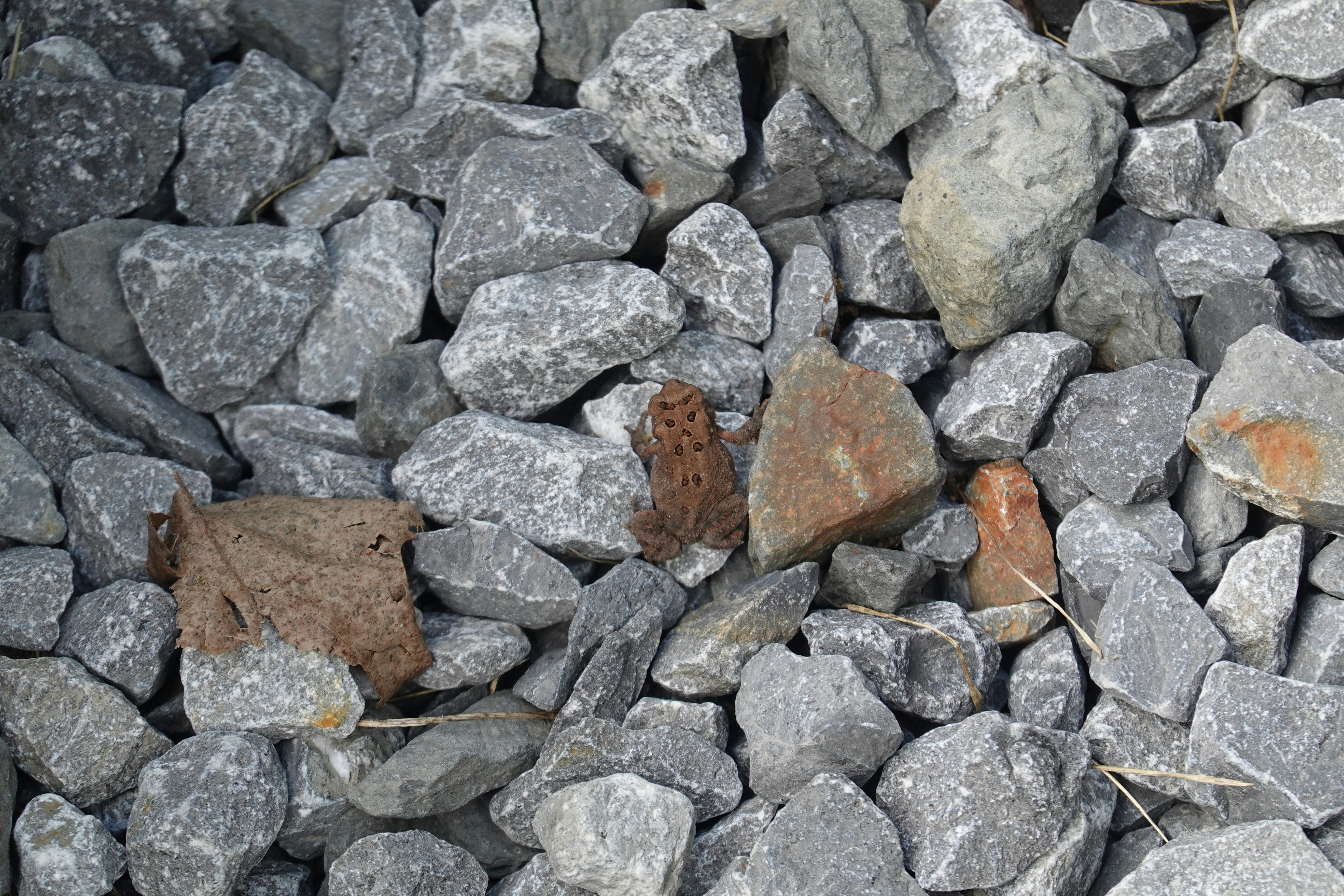 Photo by marsha_reid