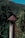 A rustic metal chimney pipe stands in the foreground, topped with a conical cap that shows signs of rust. The background features a lush forested landscape and a clear blue sky peeking over the top of a green mountain, suggesting a serene natural setting.