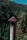 A rustic metal chimney pipe stands in the foreground, topped with a conical cap that shows signs of rust. The background features a lush forested landscape and a clear blue sky peeking over the top of a green mountain, suggesting a serene natural setting.