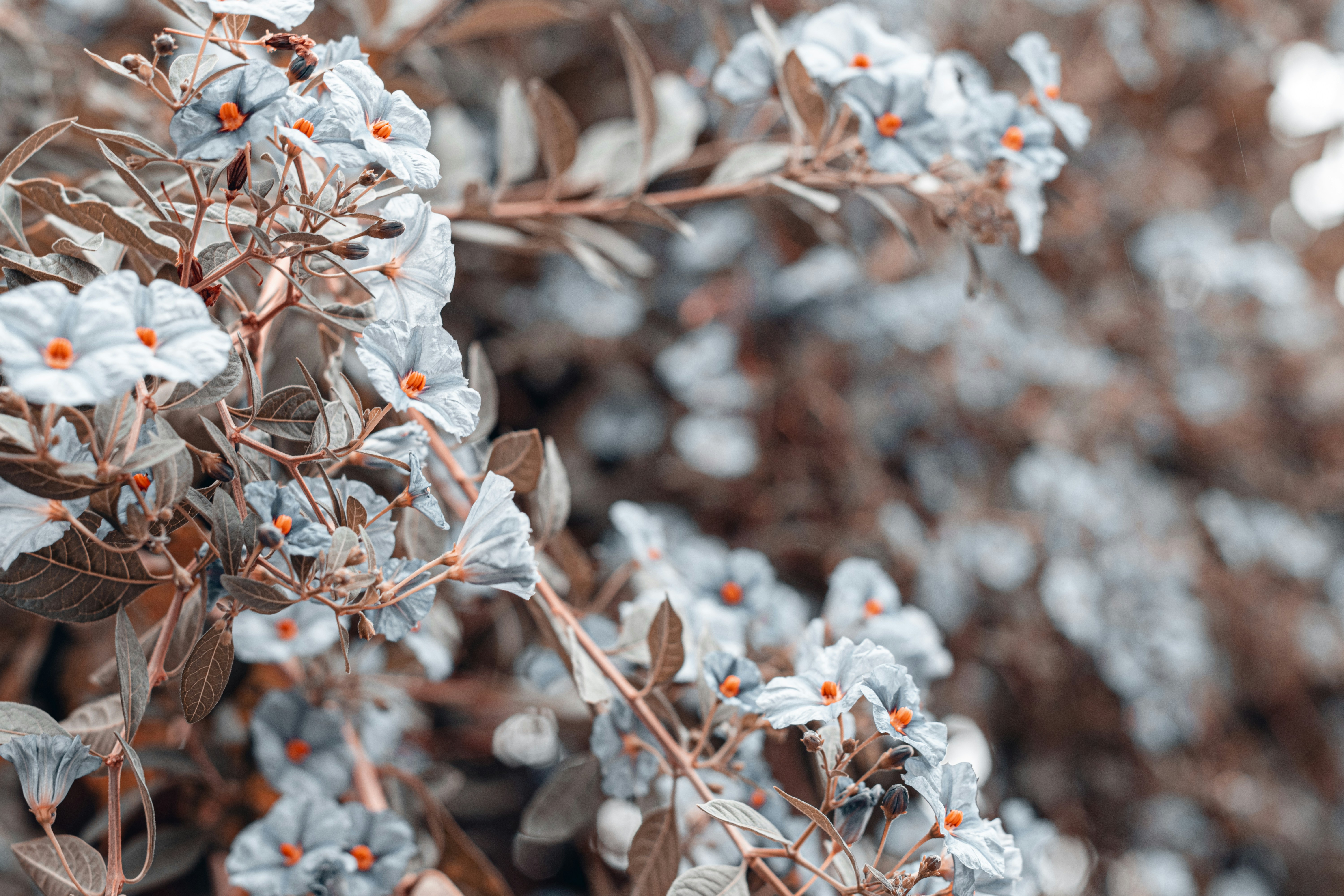 Photo by vadym_alyekseyenko