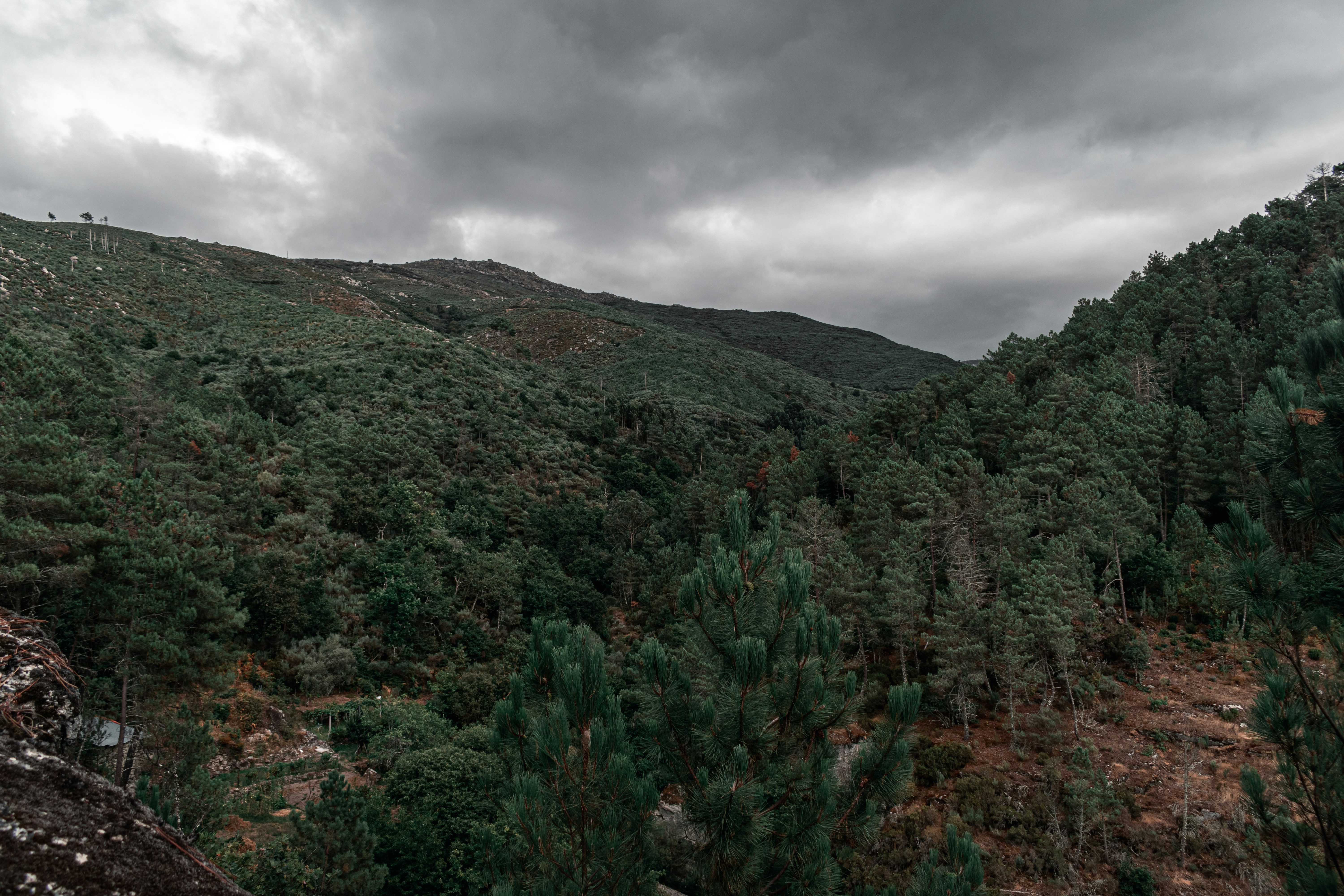 Photo by vadym_alyekseyenko