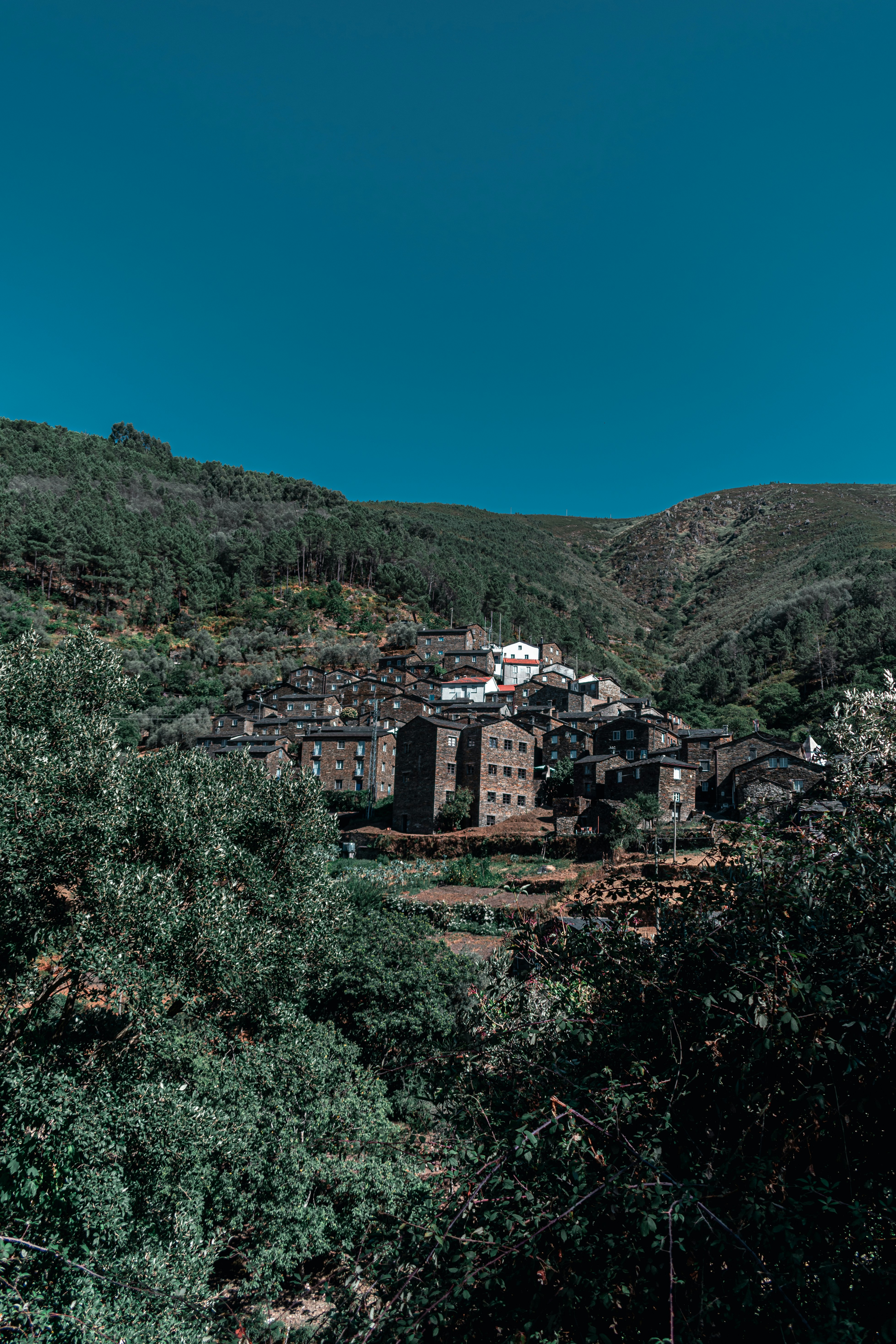 Photo by vadym_alyekseyenko