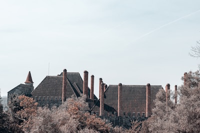 A traditional building with numerous tall, narrow brick chimneys and a roof made of dark tiles, surrounded by dense, autumnal foliage. The architecture appears historic and possibly European, with a stylized, medieval appearance.