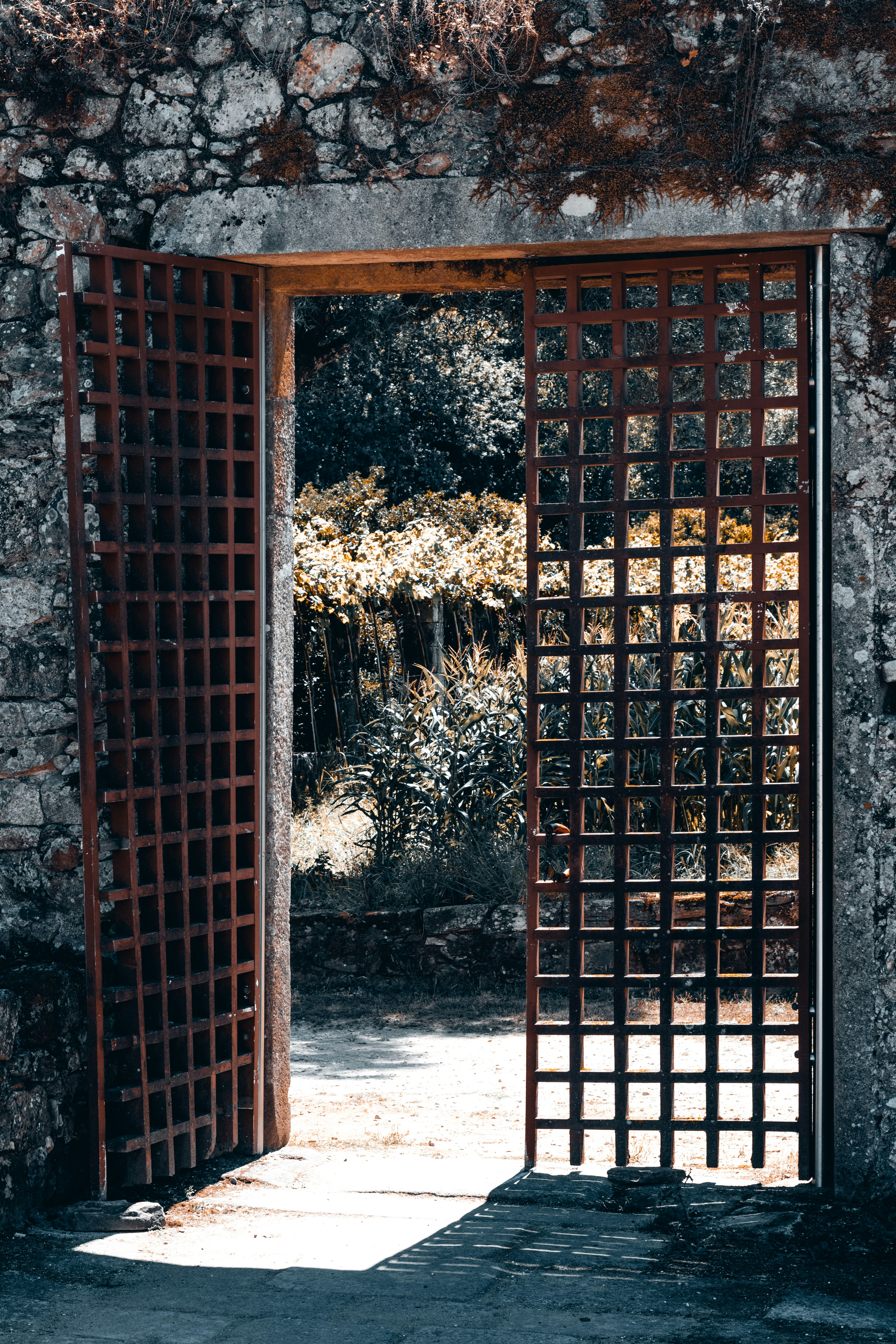 Photo by vadym_alyekseyenko