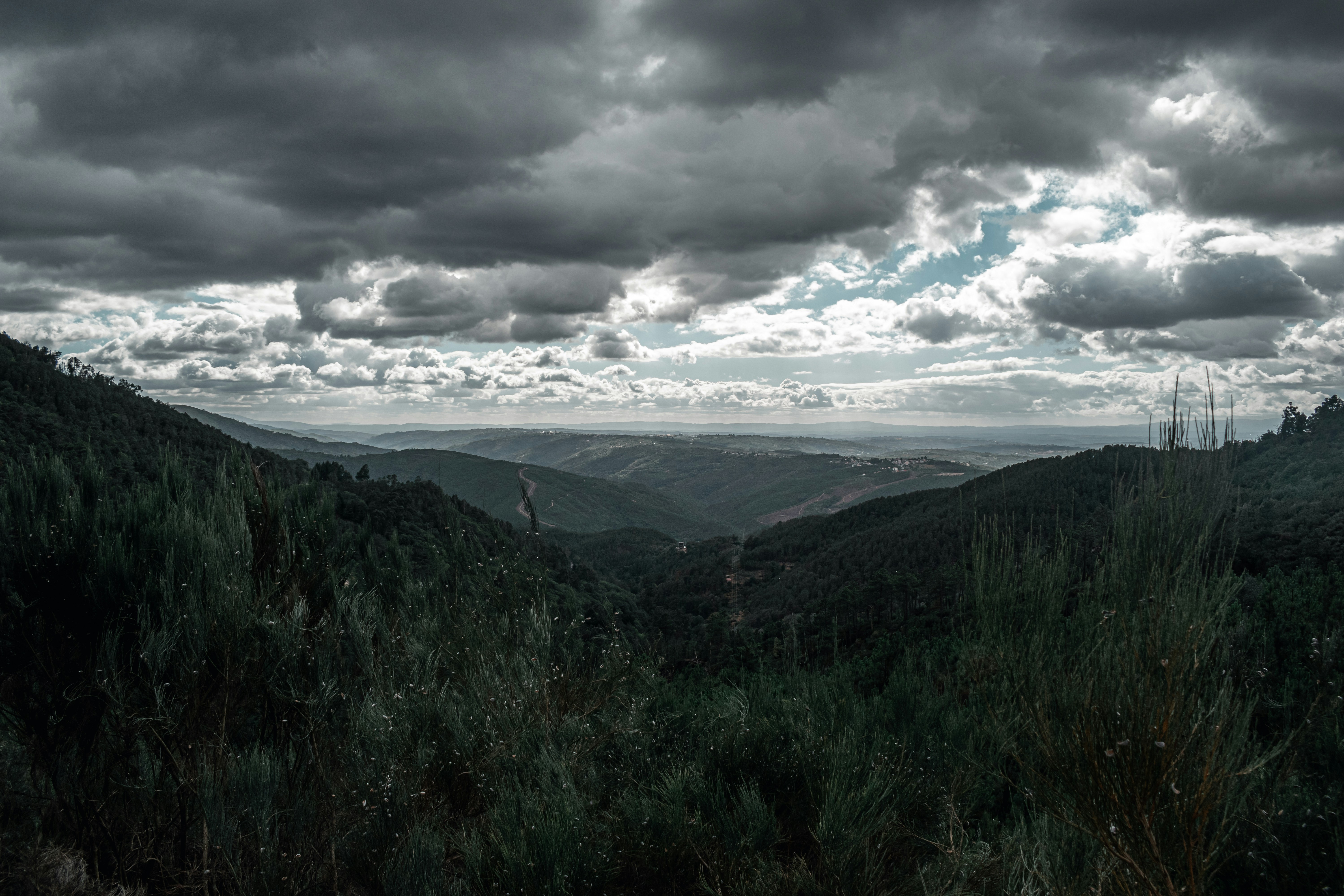 Photo by vadym_alyekseyenko