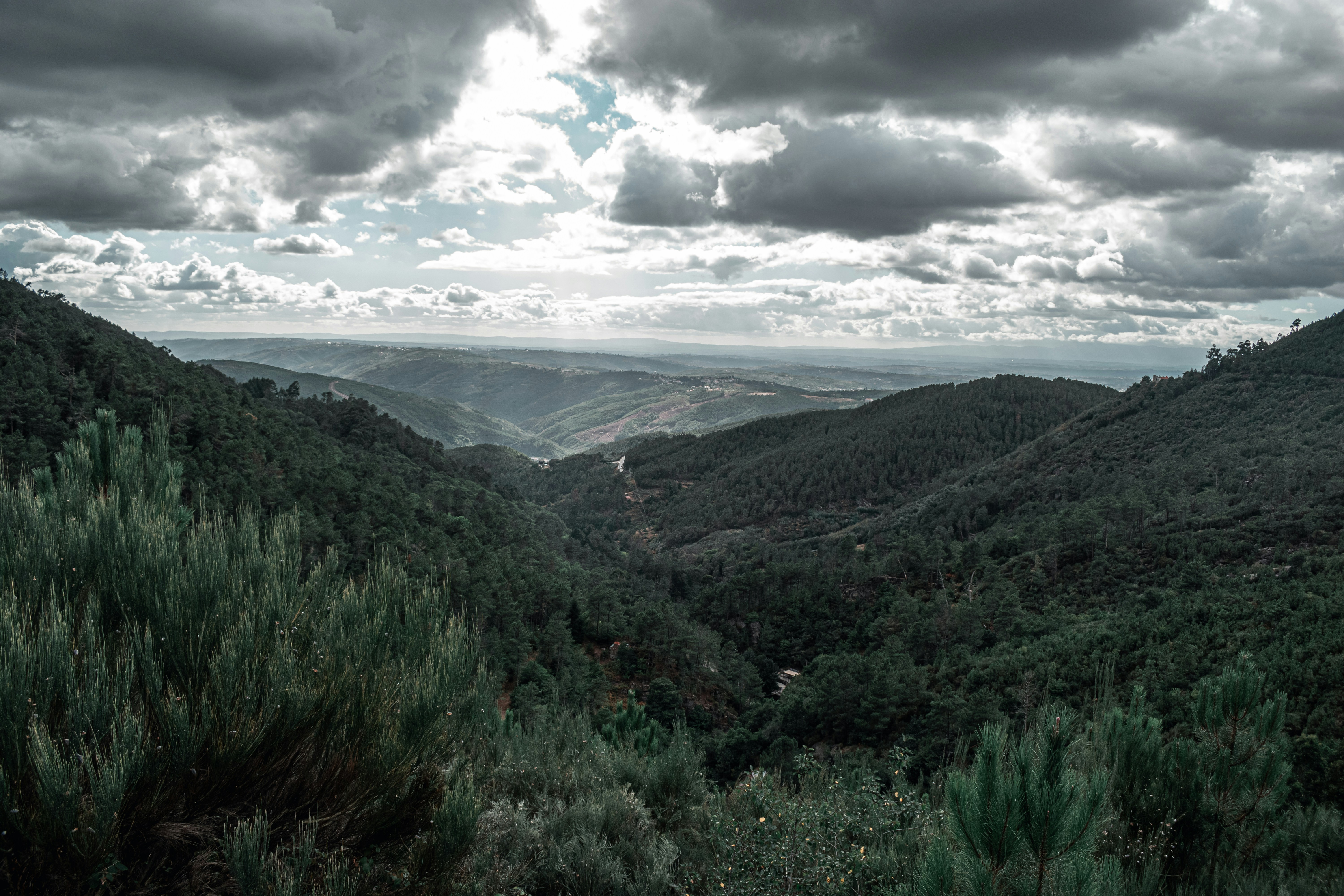 Photo by vadym_alyekseyenko