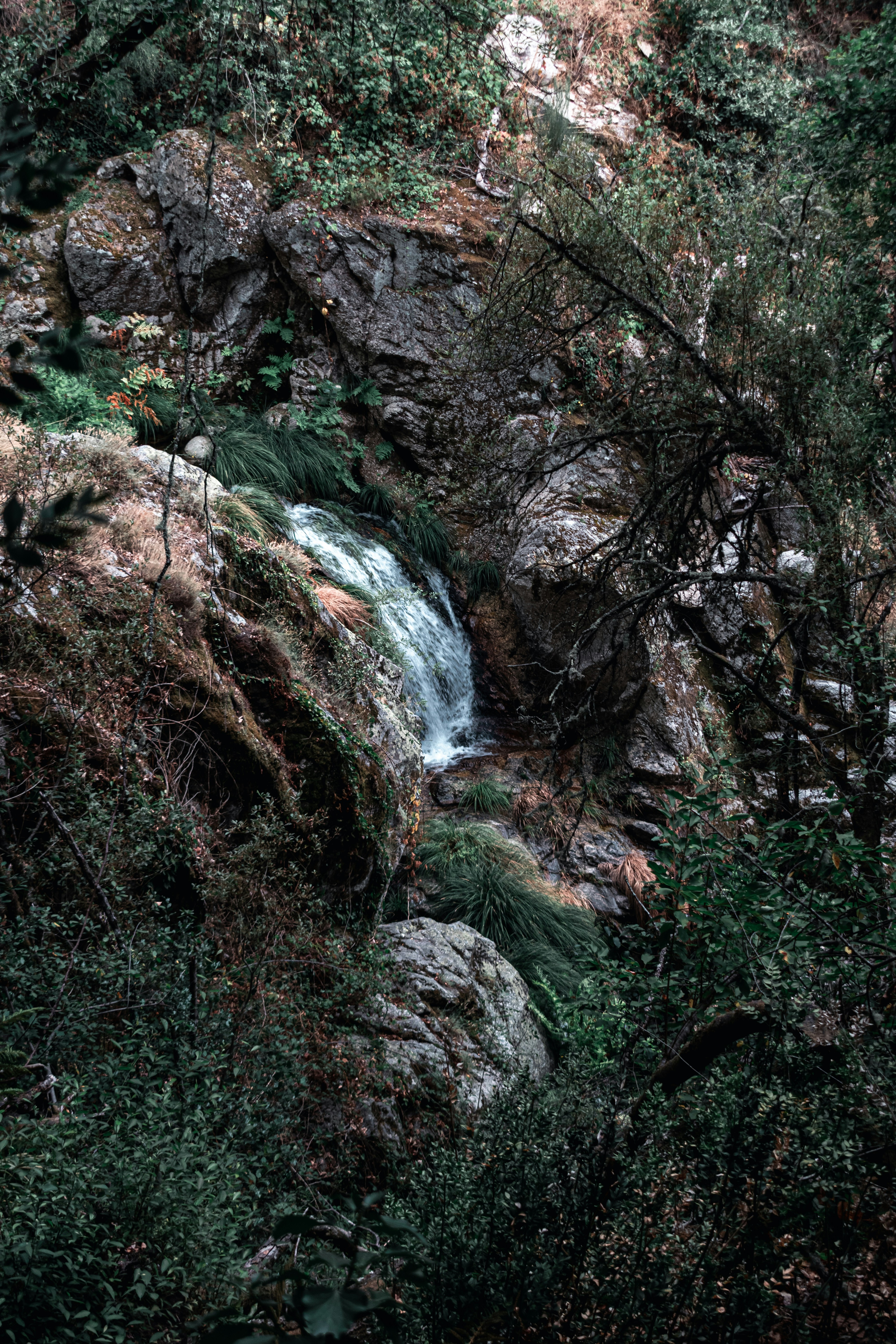 Photo by vadym_alyekseyenko