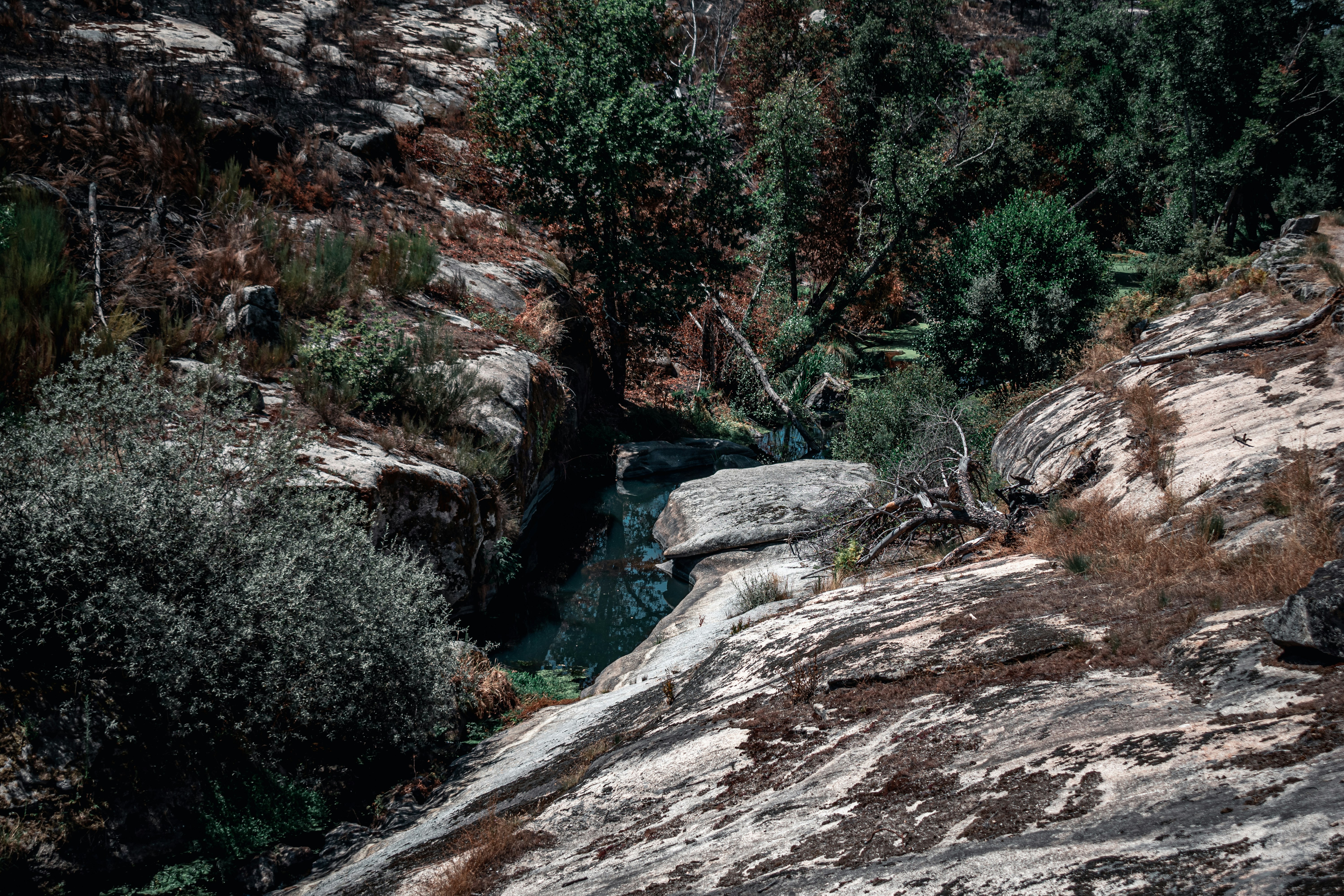 Photo by vadym_alyekseyenko