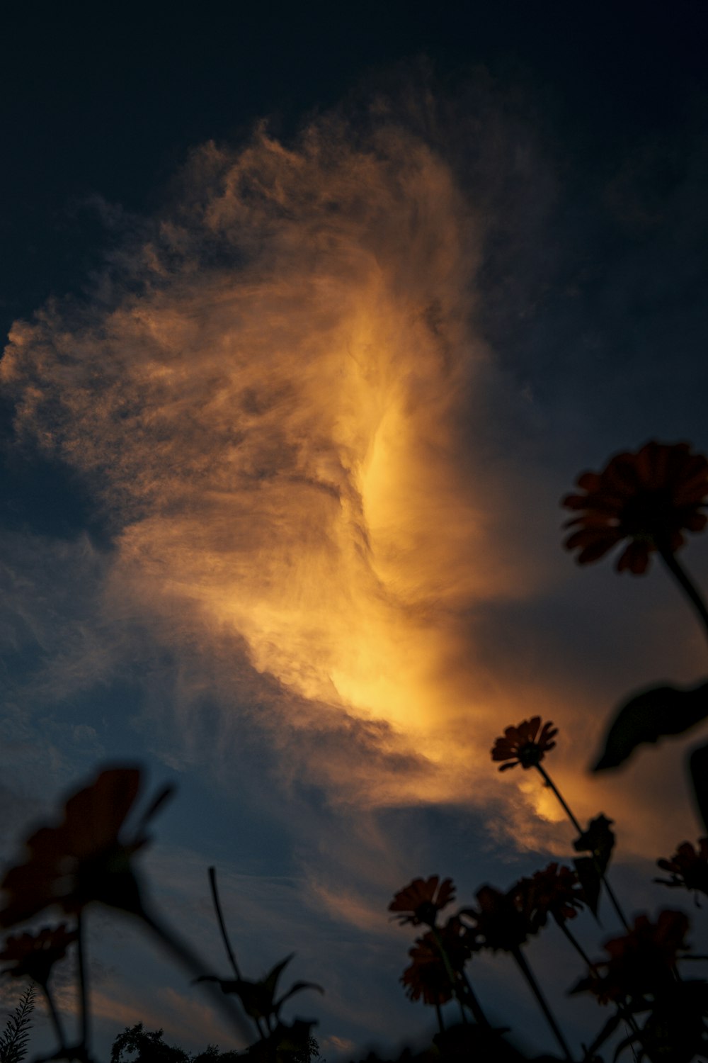 a close-up of the sun