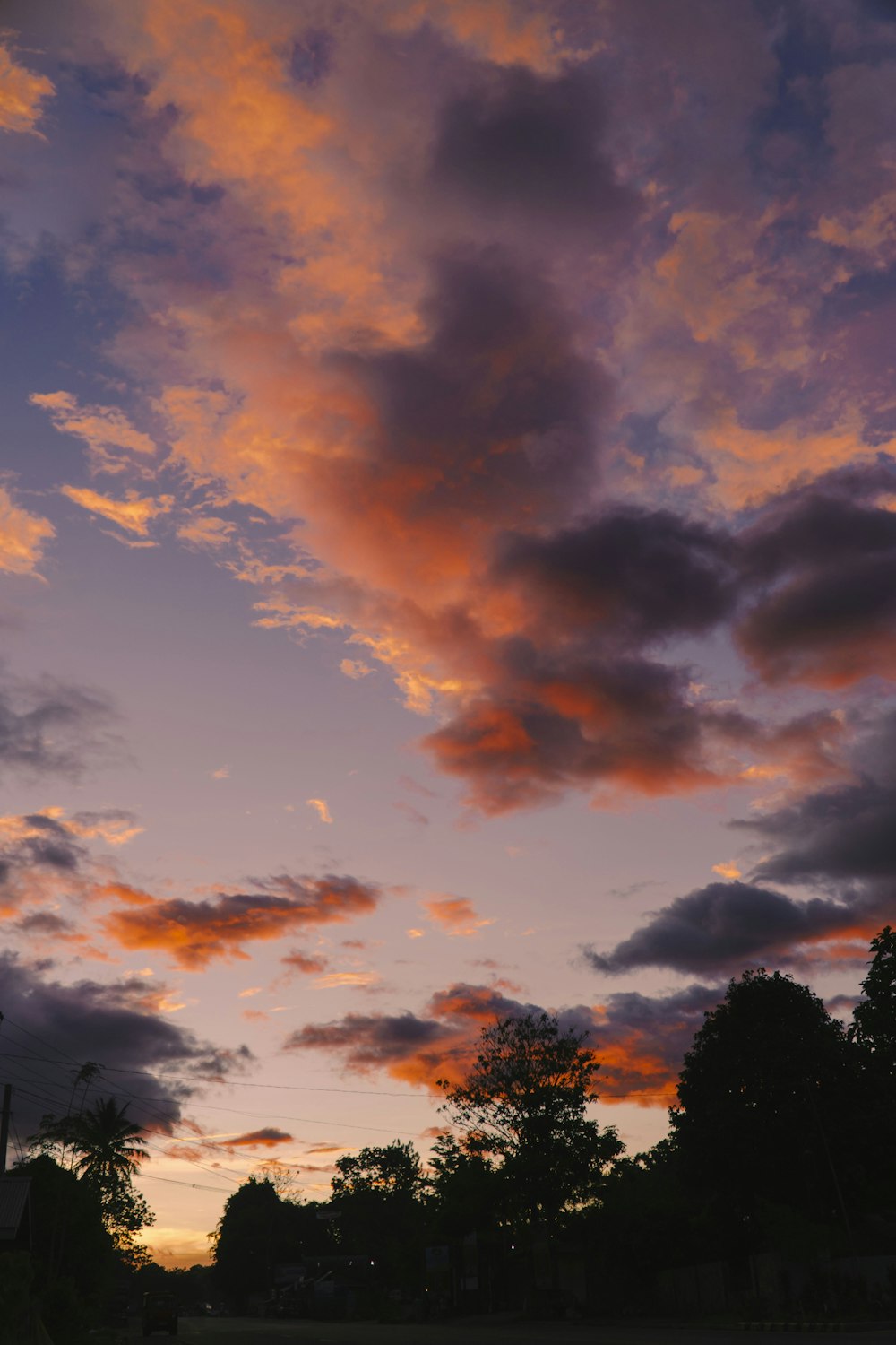 a sunset with trees