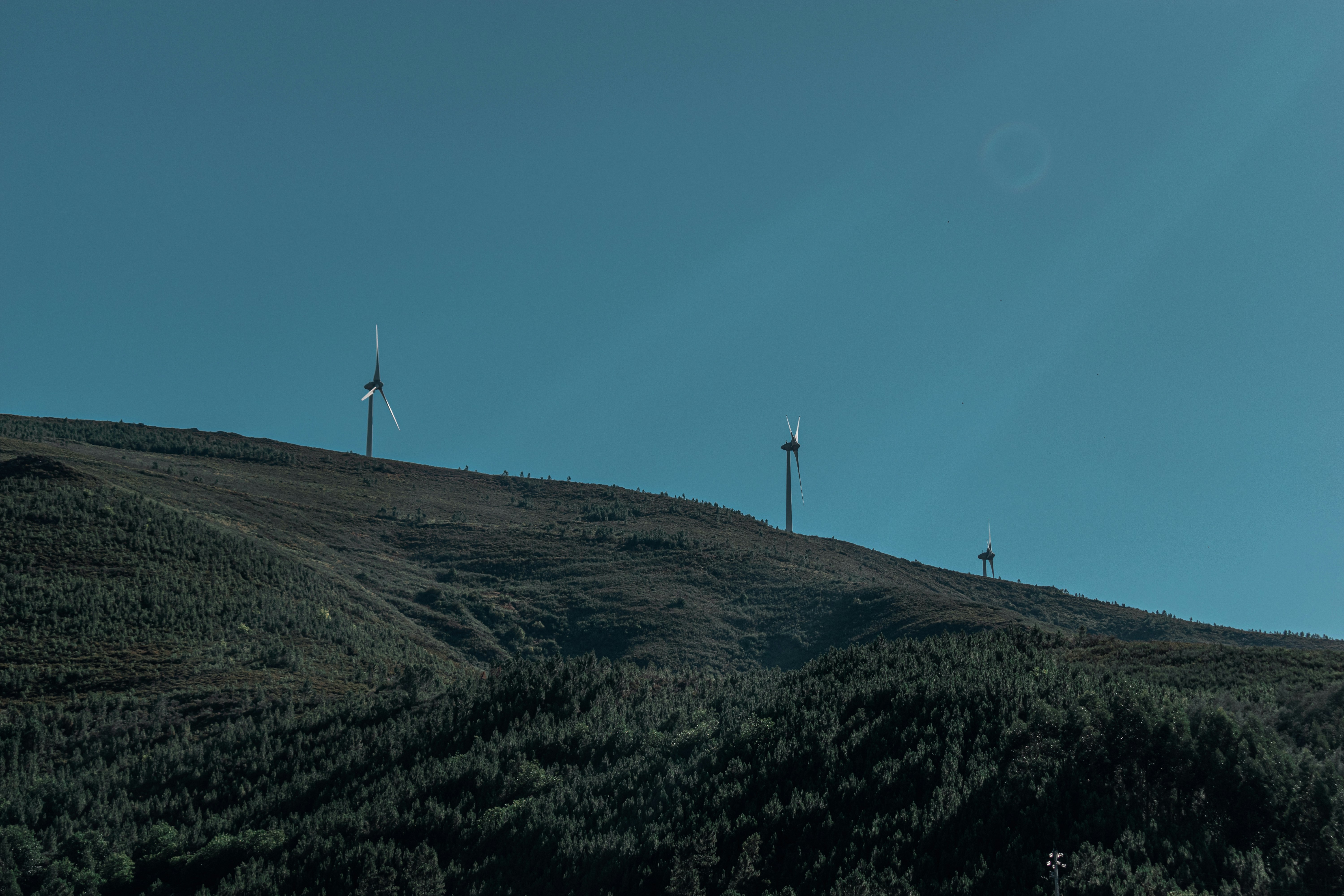 Photo by vadym_alyekseyenko