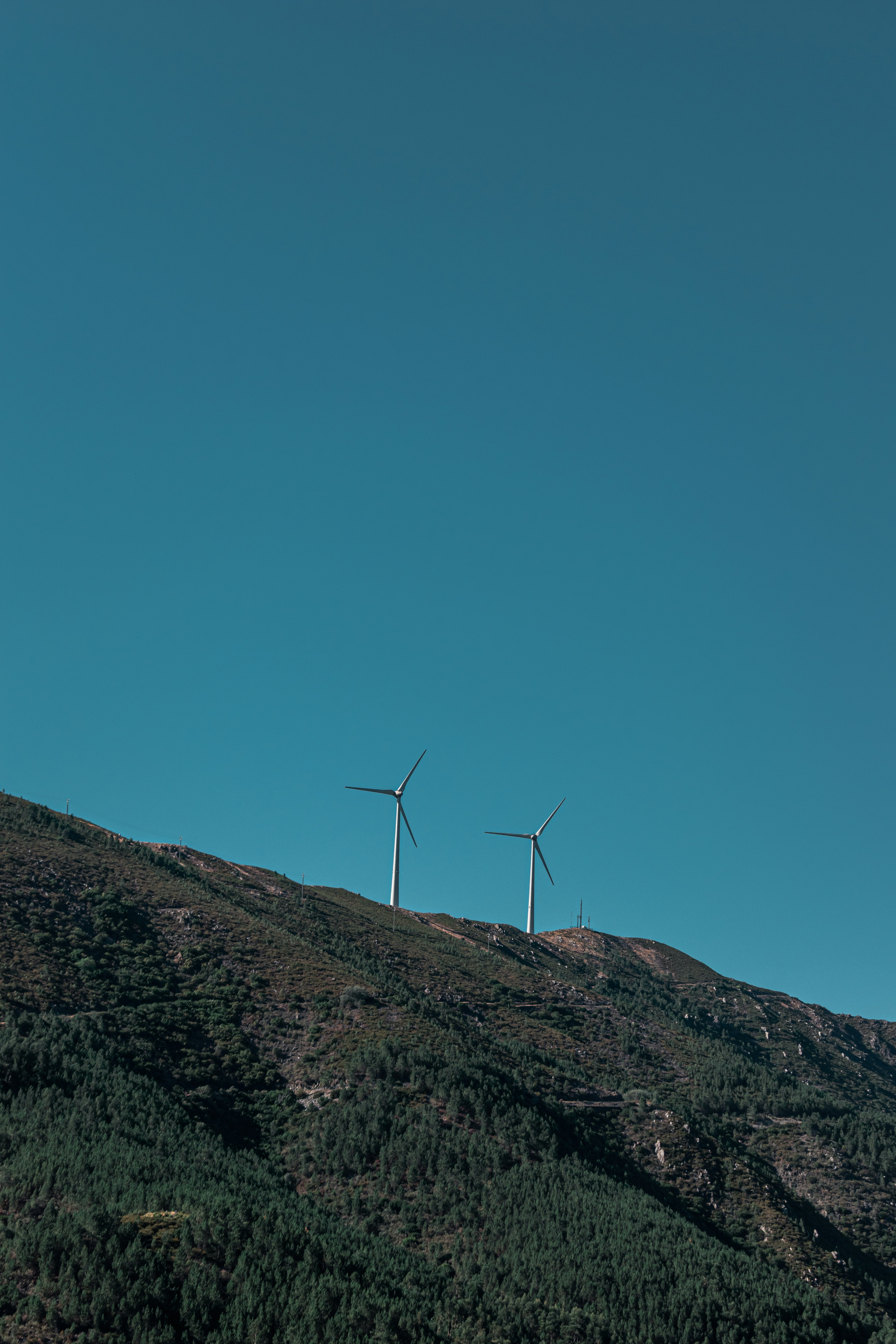 Photo by vadym_alyekseyenko