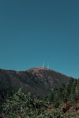 Wind turbines sit atop a hill covered with dense green trees, under a clear blue sky.