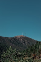Wind turbines sit atop a hill covered with dense green trees, under a clear blue sky.
