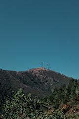 Wind turbines sit atop a hill covered with dense green trees, under a clear blue sky.