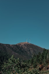 Wind turbines sit atop a hill covered with dense green trees, under a clear blue sky.