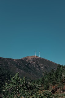 Wind turbines sit atop a hill covered with dense green trees, under a clear blue sky.