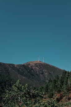 Wind turbines sit atop a hill covered with dense green trees, under a clear blue sky.