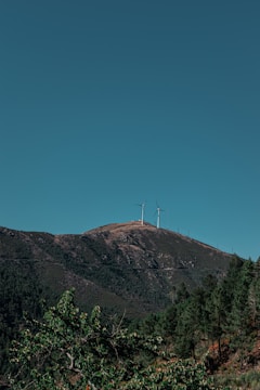 Wind turbines sit atop a hill covered with dense green trees, under a clear blue sky.