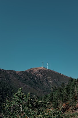 Wind turbines sit atop a hill covered with dense green trees, under a clear blue sky.