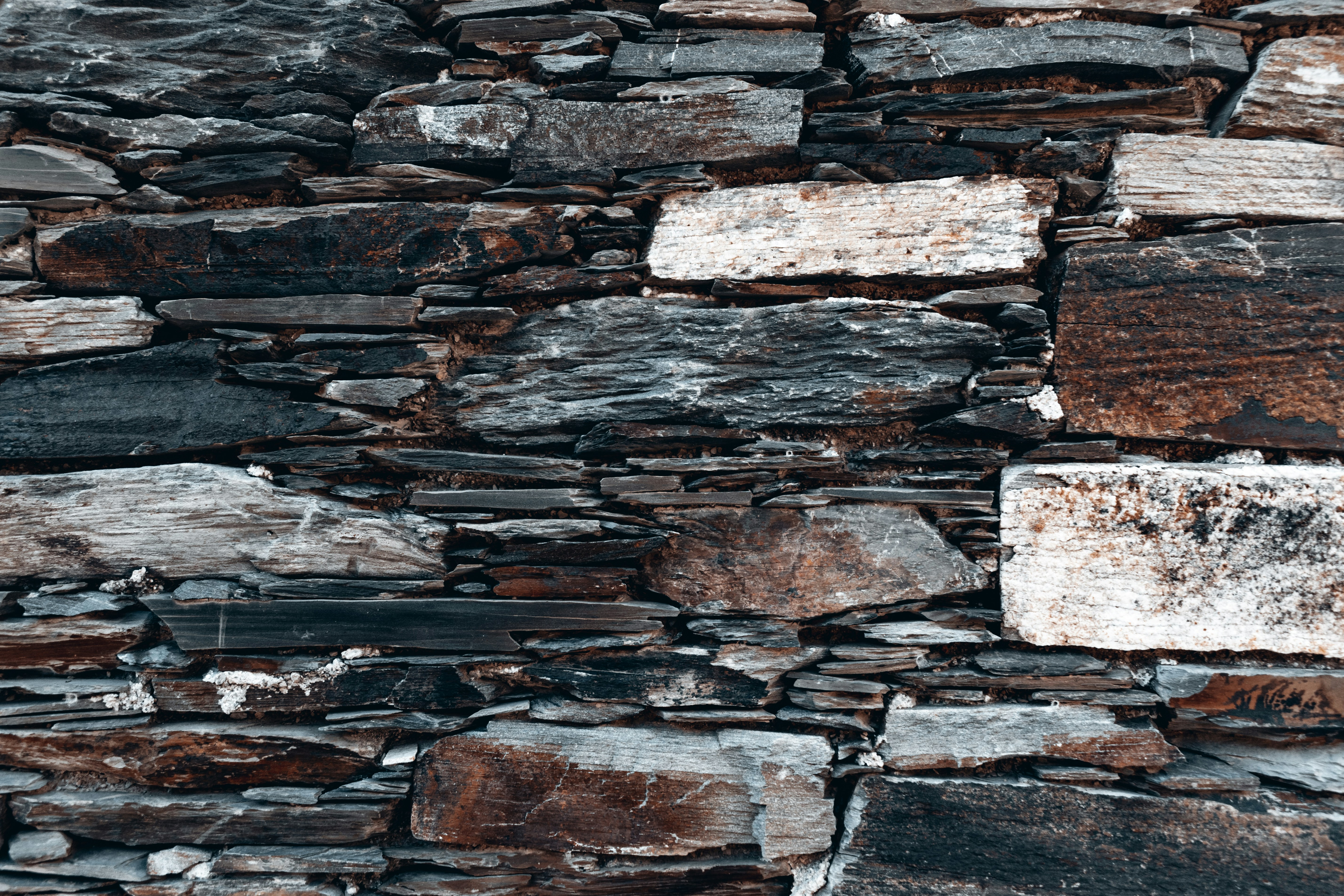 Photo by vadym_alyekseyenko