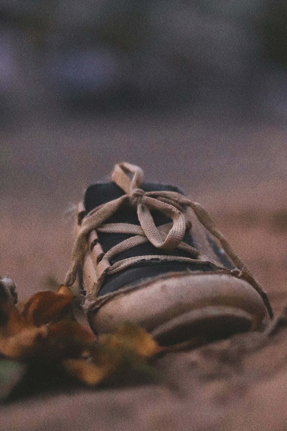 a close-up of a shoe