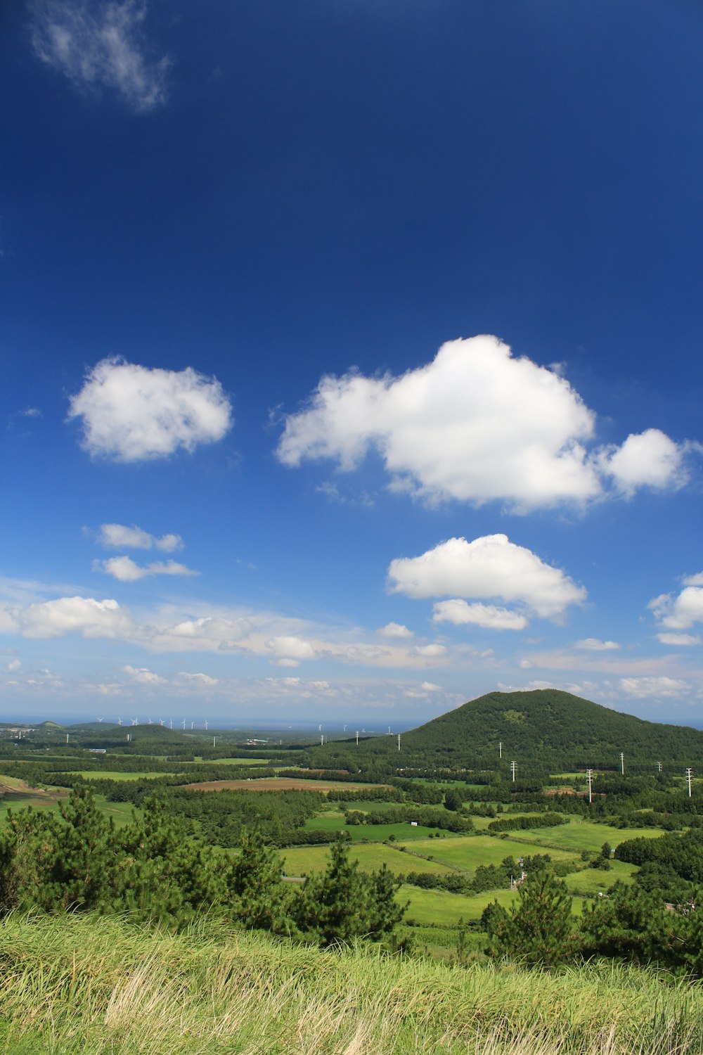 a landscape with trees and hills