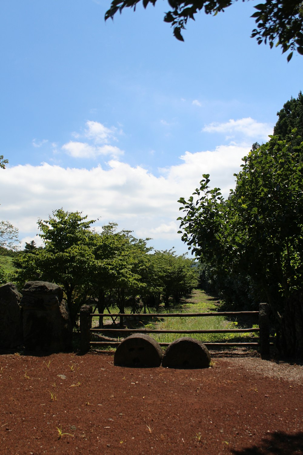 a fence and some trees