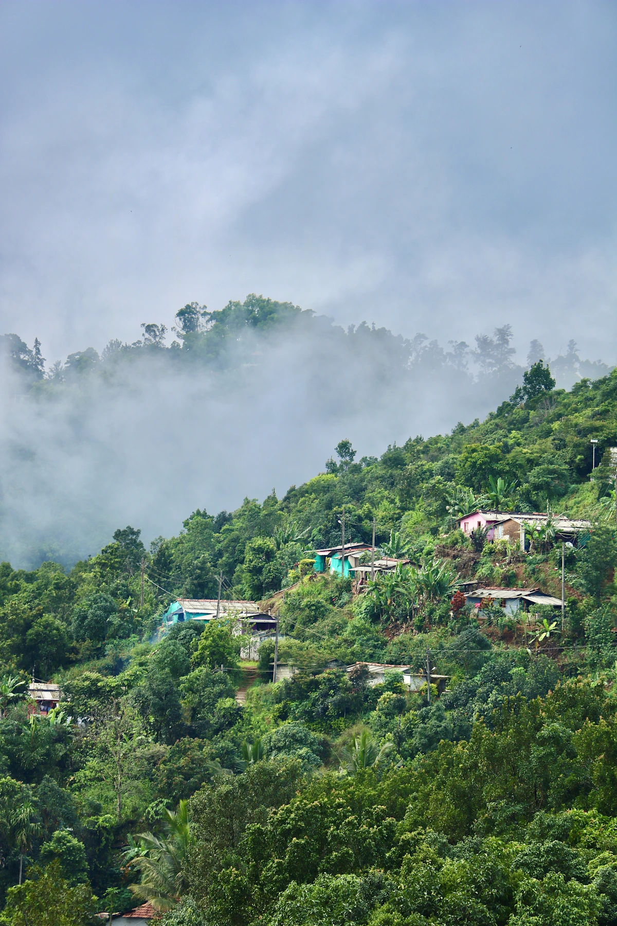 Coorg Tour Package — Scotland of India — photo 5