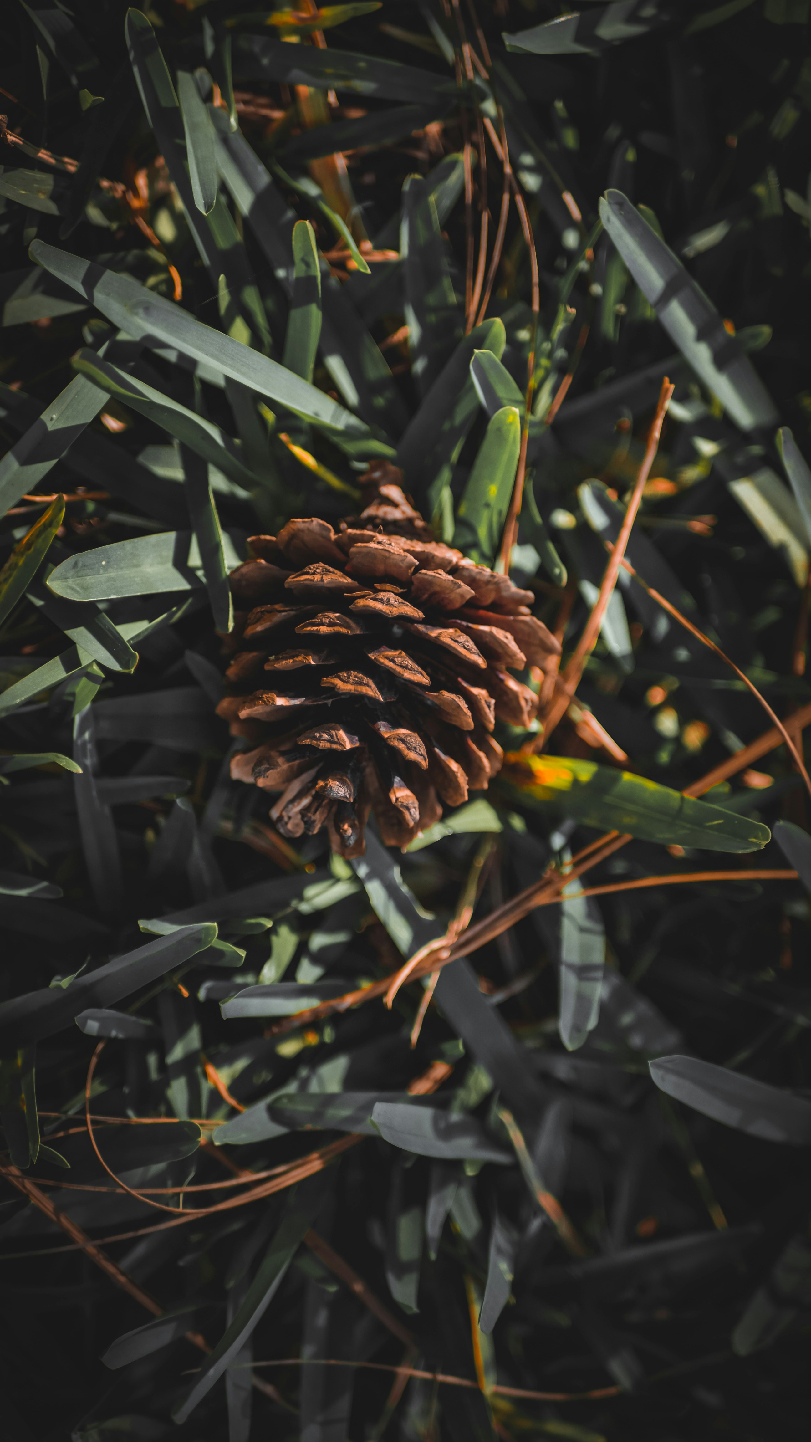 Photo by manubtaz